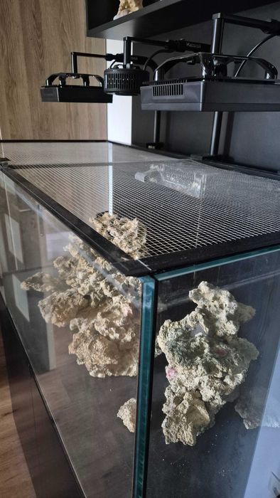 Redsea Reefer 420 xl v1