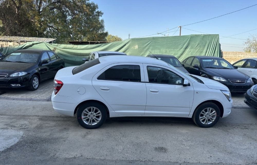 Cobalt   25 Yiil Stail orginal  Nomer olingan