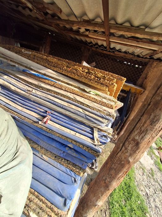 Mata kurash gilami donali kelishamiz donasi 100 kelishamiz