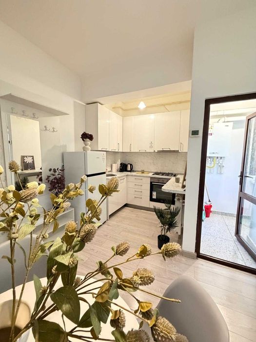 IS Cazare Apartamente Regim Hotelier Central 1-2-3 cam Palas-Newton