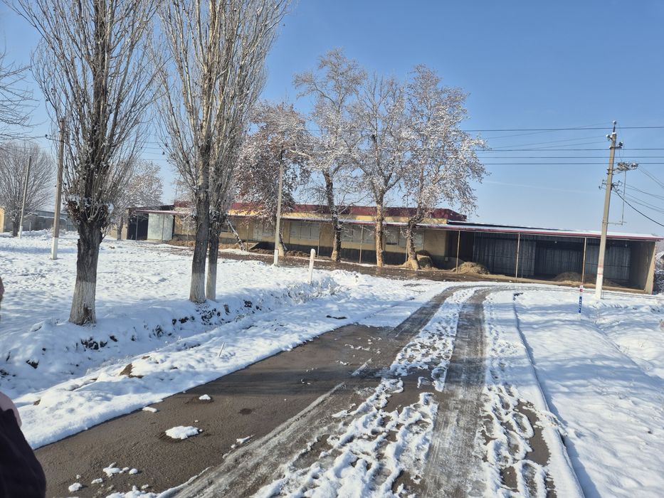 Кафе,ошхона,столовый,на трассе