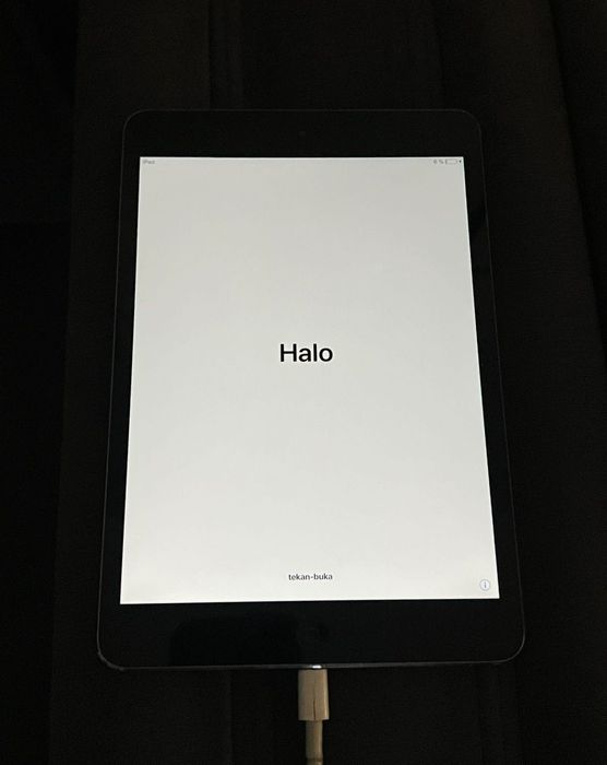  iPad mini 2 Apple