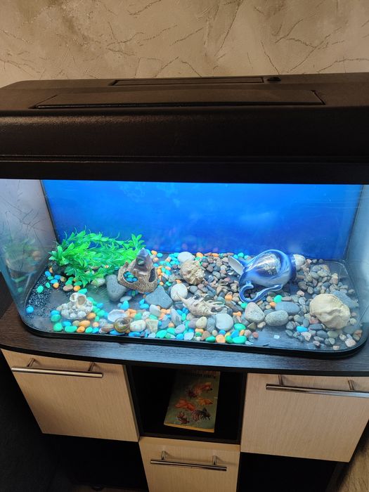 Аквариум с тумбой