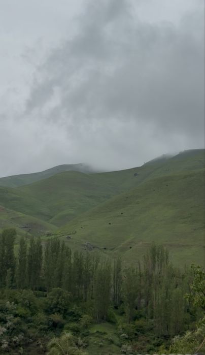 yer sotiladi  Angren Yangi obod (Zarbuloq)