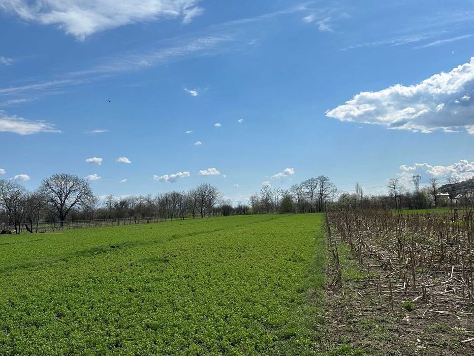 casa noua teren 3100mp judetul Neamt Piatra Soimului Roznov Savinesti