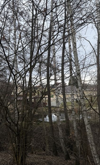 teren comuna Rasca Cluj