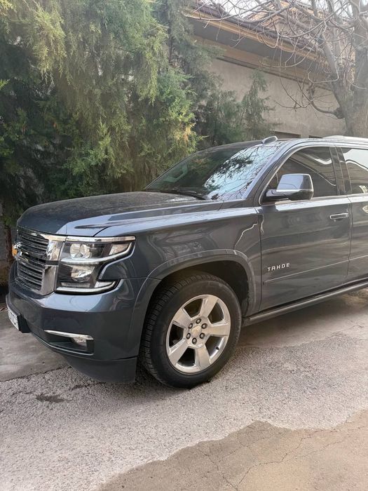 Tahoe Primer  2020-yil