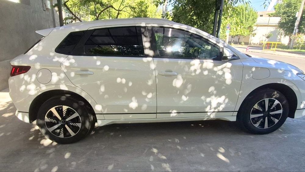 BYD e2 luxury position 2024