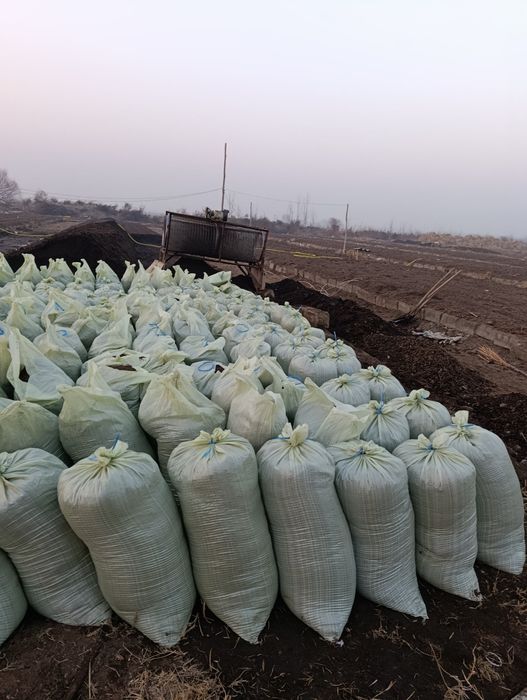 Sifatli va arzon biogums birinchi quldan