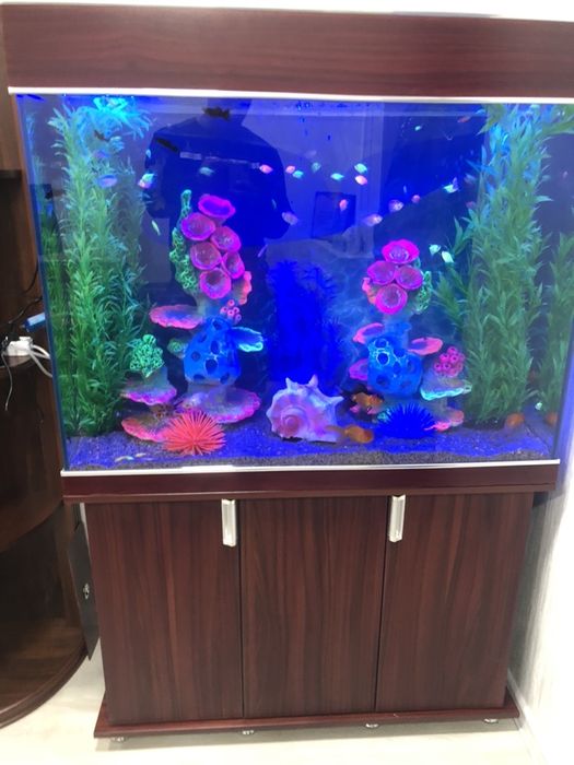 АКВА СЕРВИС Изготовление и ремонт аквариума обслуживание и другие усл