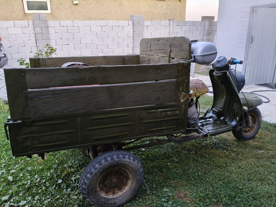 Муравей в отличном состоянии