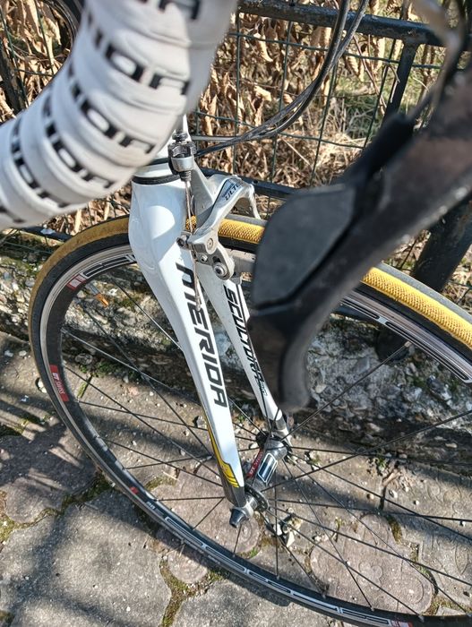 Cursieră Merida Scultura EVO 904