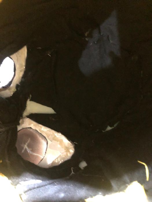 фурри фурсьют дракон