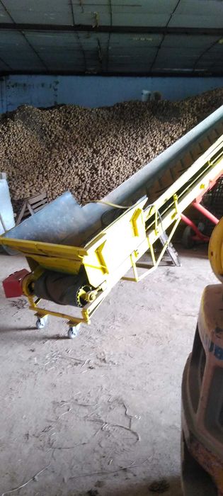 Картофи за консумация Сорая