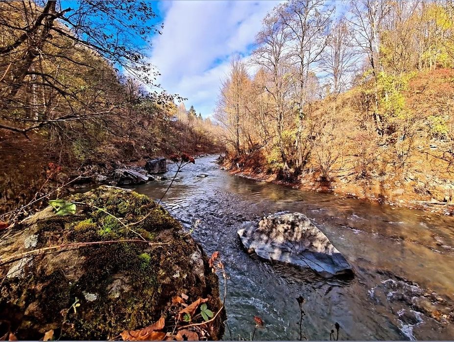 Vand teren Valea  Doftanei in coada lacului Paltinu
