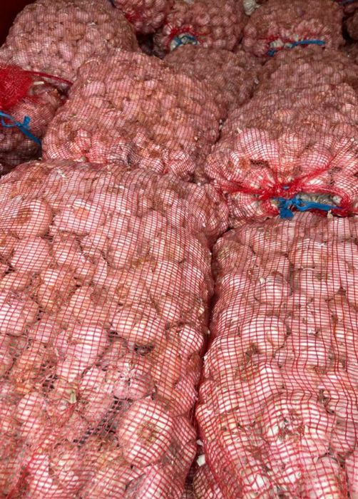 Vand usturoi de pus în pământ