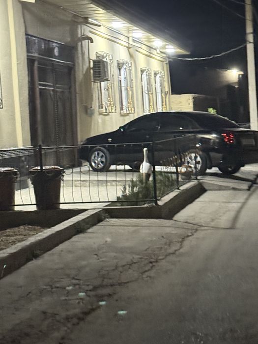 7 Sotixli 5-xonadan iborat evro remont tayyor uchaska sotiladi