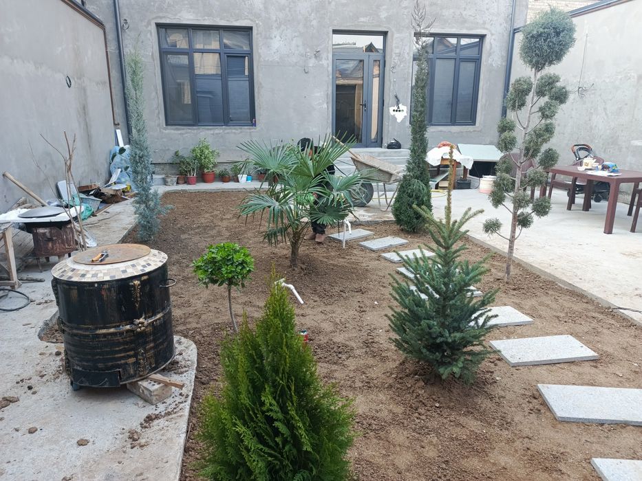 Gul va archa gazon ekish mevali darxtlar  ekish xizmati