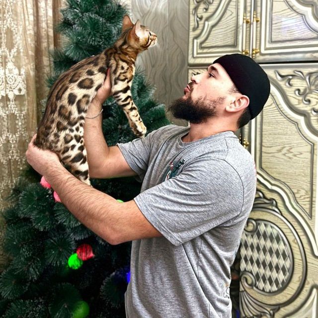 Бенгал вяска учун!