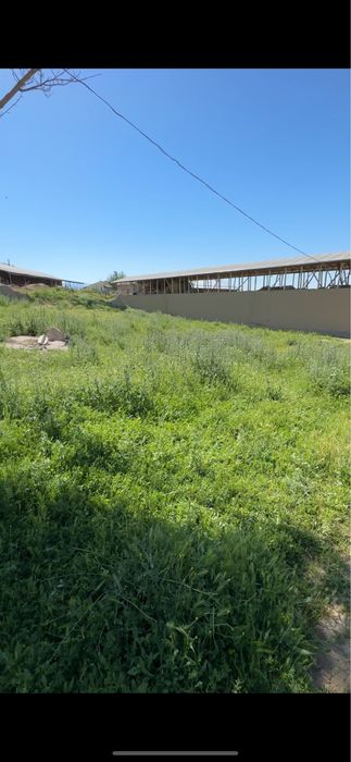Ferma sotiladi arzon parkentda