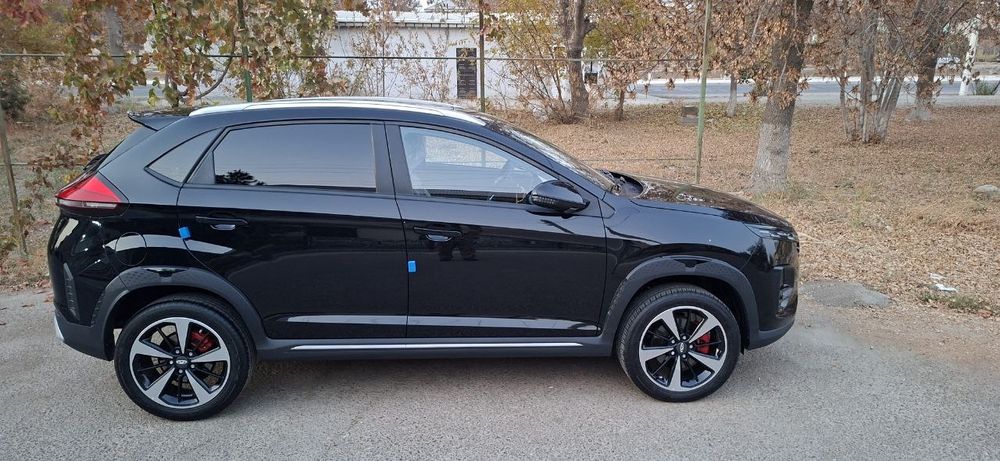 Chery 2025 шот справка