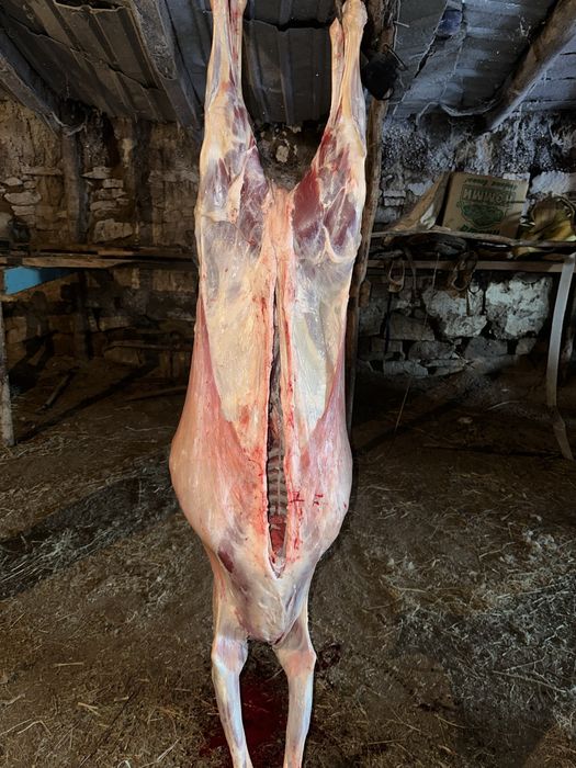 Продам мясо