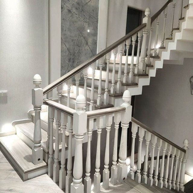 Zina poyalar lesnisa