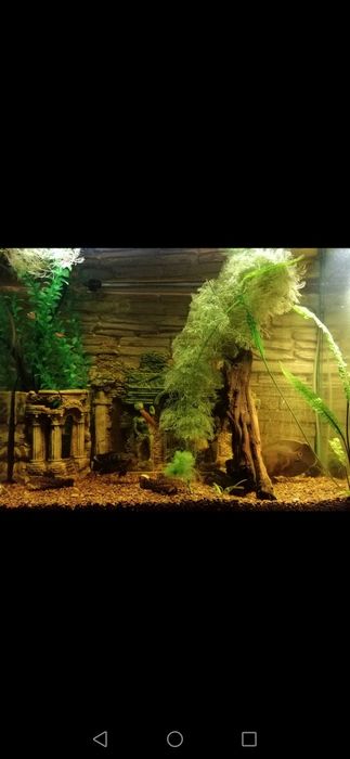 Аксессуары для аквариума