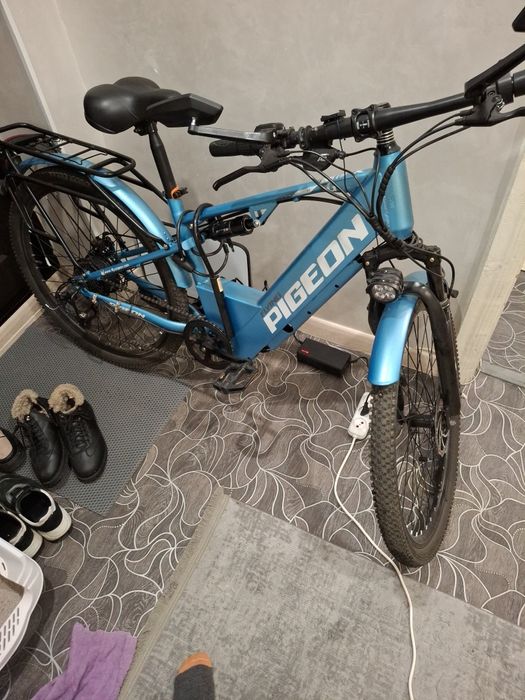 Жагдайы жаксы сенимди