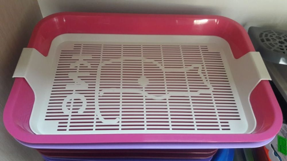 Лоток для котиков с доставкой