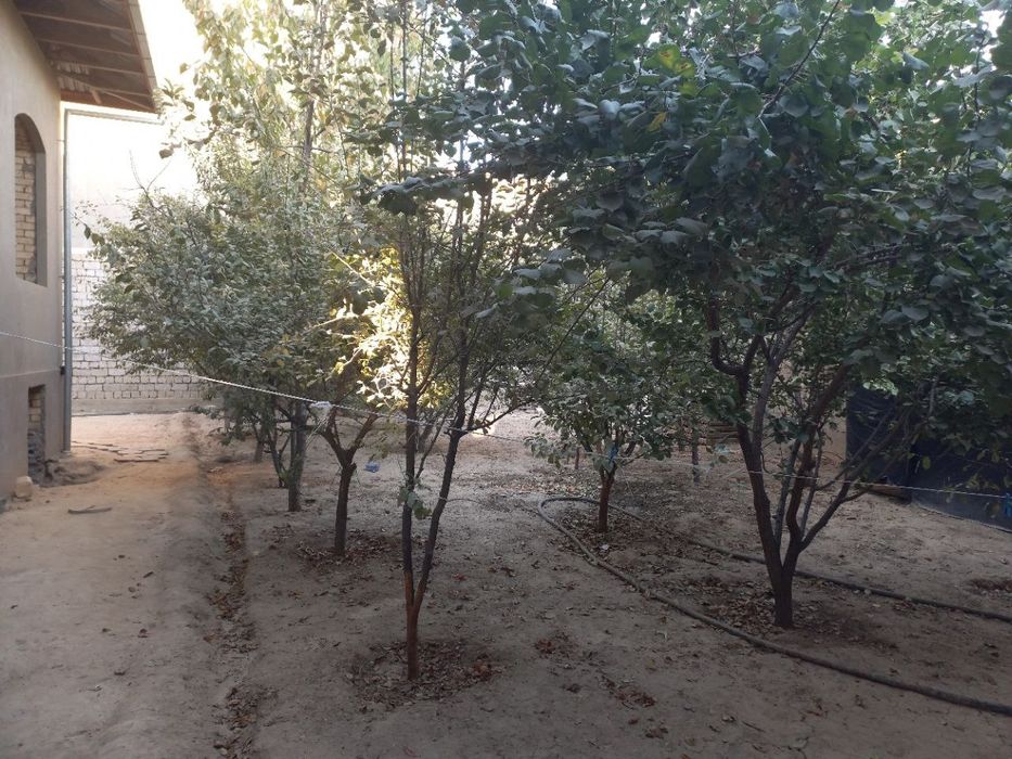 Участка сотилади.йер 3 сотик каробка. Uchastka sotiladi karobka 3sotix