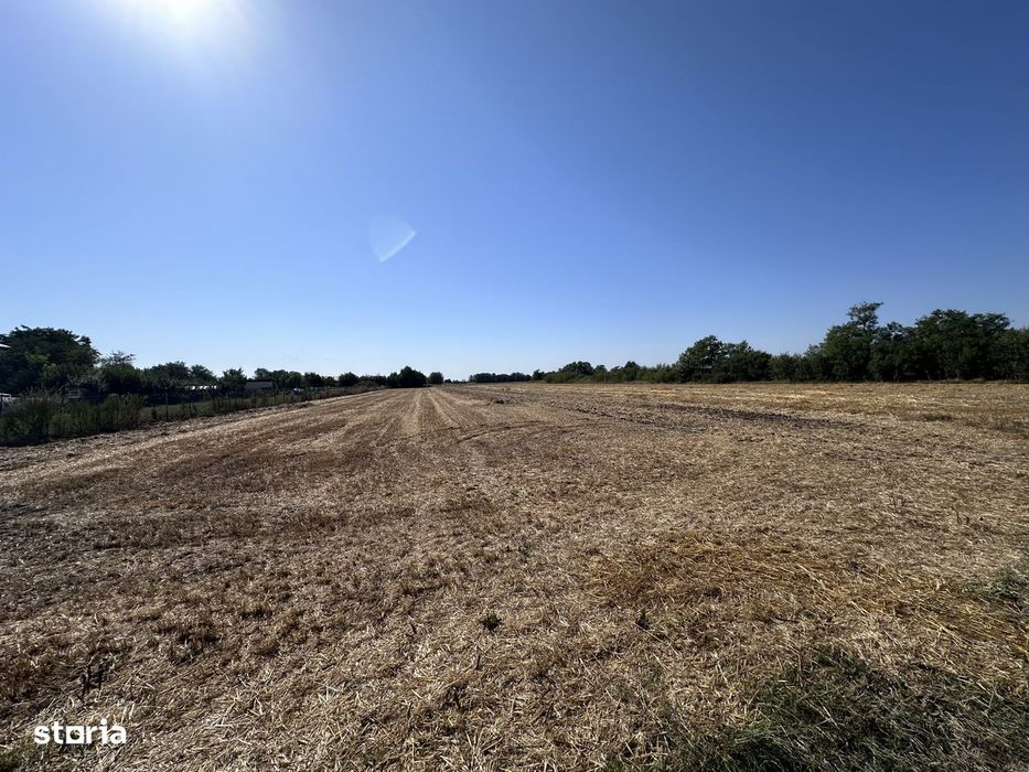 Teren de vanzare | 5.208 mp | Str. Bucegi, Creata – Dascalu