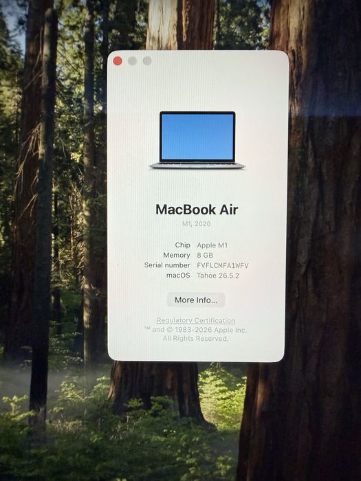 Macbook air m1 si mouse apple magic