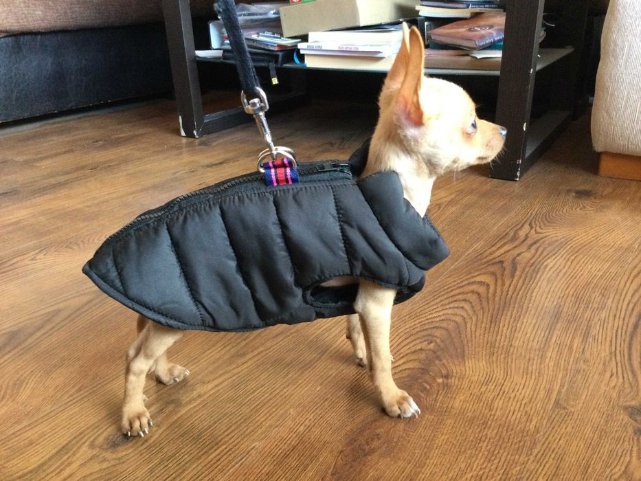 НОВ топъл черен зимен елек за куче от Италия S, M и L размер