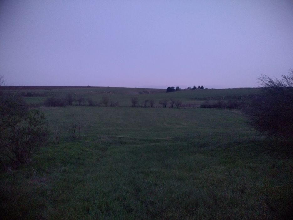 Продава се Парцел в с. Разделна, Област Варна - 1100 кв.м за 10 €/кв.м - Снимка #1