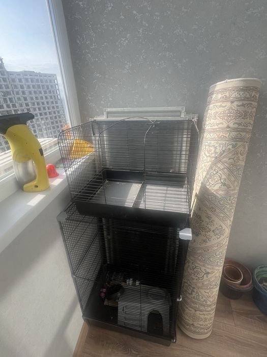 Две клетки (по отдельности)