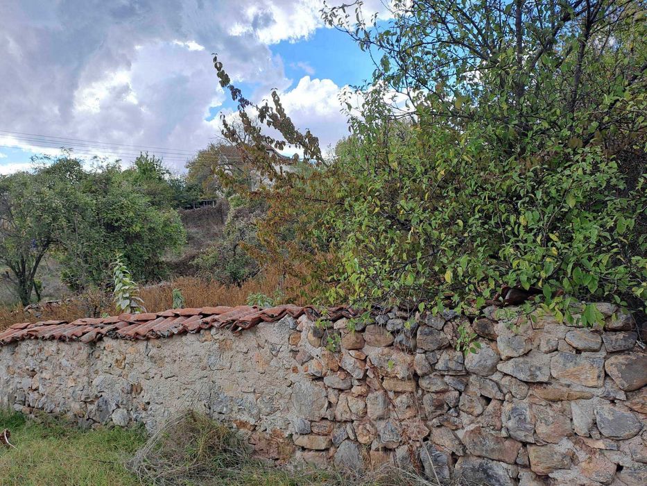 Продава се Парцел в с. Таваличево, Област Кюстендил - 1000 кв.м за 17 €/кв.м - Снимка #3