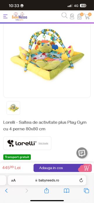 Saltea activitati lorelli