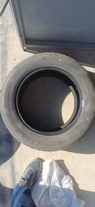 Продам балоны 2 летних 2 зимнии