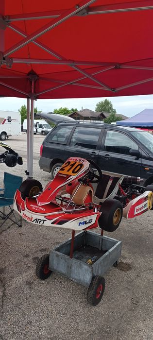 Картинг Бирел клас мини