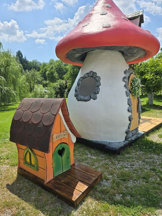 Căsuță, cușcă câine