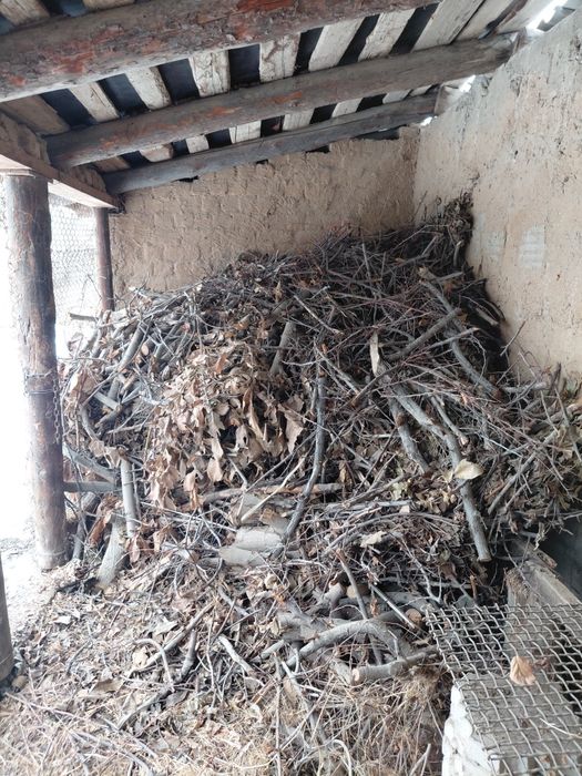 Отын трава отын агаш