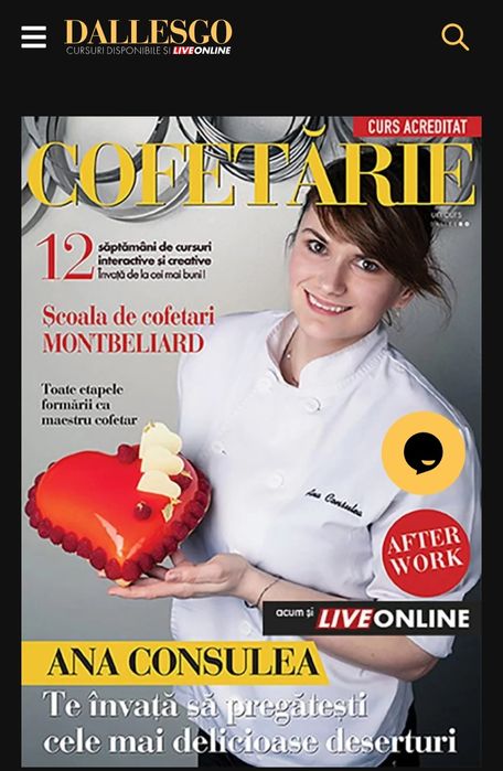 Curs acreditat DallesGO - 2500  Ron