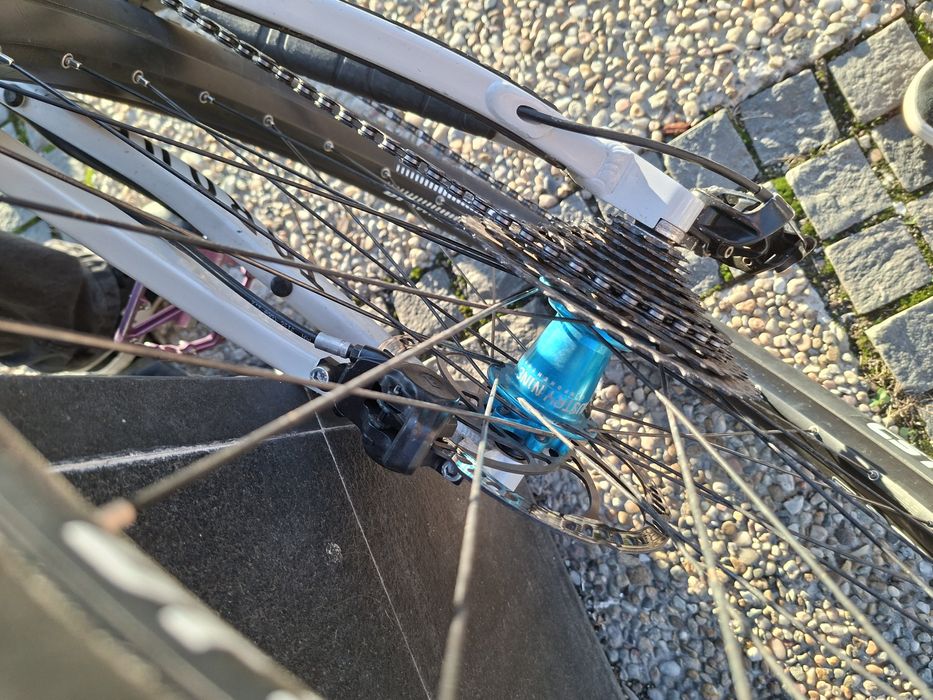 Canyon torque dhx