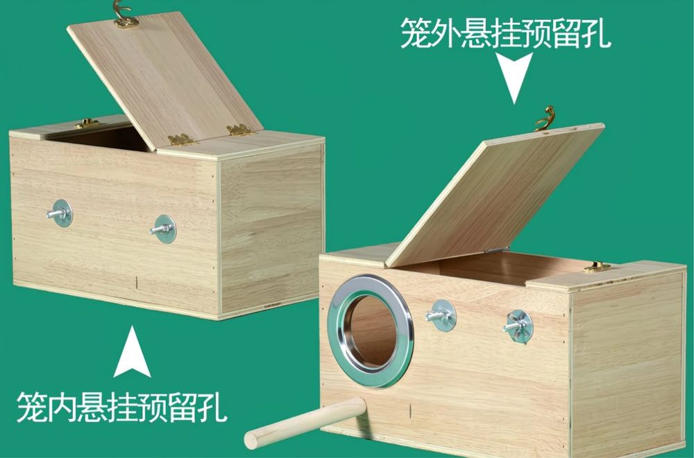 Попугай Корелла пара девочка и мальчик