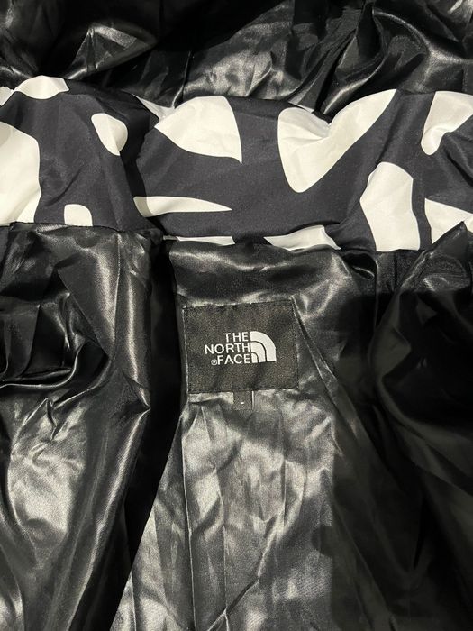 Geaca The North Face