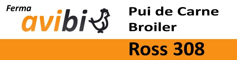 Pui de Carne Precrescut Broiler - 16 Zile - 500 gr