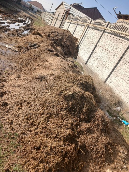 Навоз бесплатно.