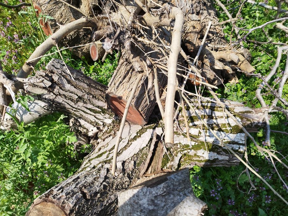 Дървен материал !