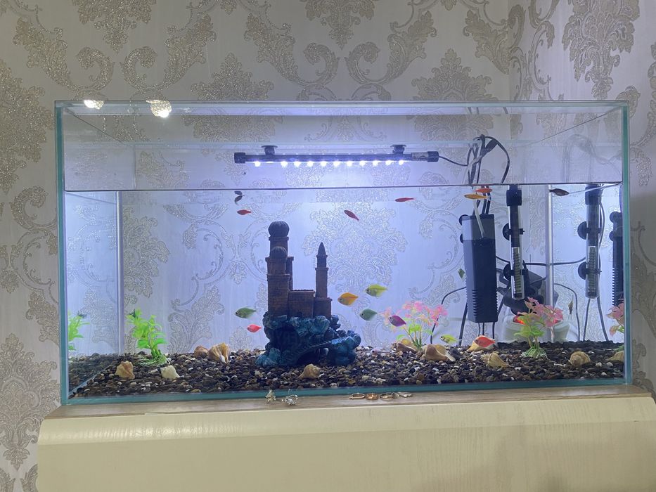 Обмен аквариум с рыбами и все что на фото